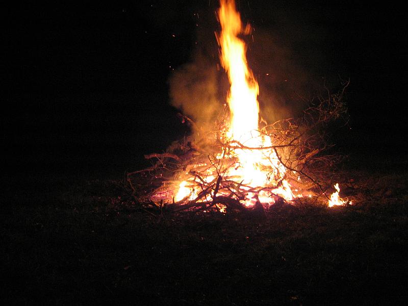 Picture 030